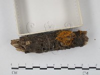 登錄號:F0001013藏品圖，第3張