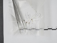 登錄號:F0001014藏品圖，第1張