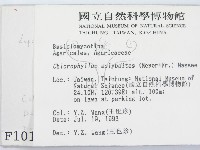 登錄號:F0001016藏品圖，第2張