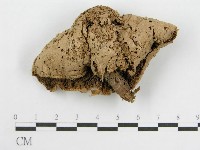 登錄號:F0001016藏品圖，第1張