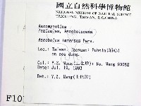 館號:F0001017藏品圖，第2張