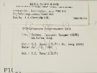 登錄號:F0001018藏品圖，第2張