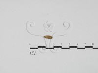 登錄號:F0001018藏品圖，第3張
