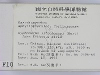 登錄號:F0001019藏品圖，第2張