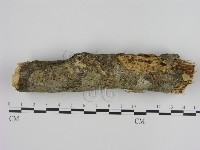 登錄號:F0001019藏品圖，第1張