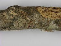 登錄號:F0001019藏品圖，第3張