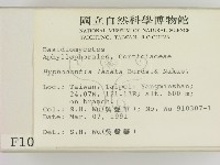 登錄號:F0001020藏品圖，第2張