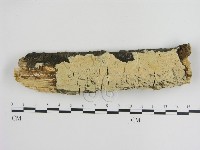 登錄號:F0001020藏品圖，第1張