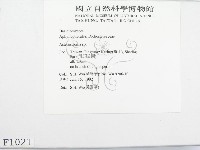 登錄號:F0001021藏品圖，第3張
