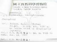 登錄號:F0001022藏品圖，第3張