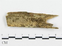 登錄號:F0001022藏品圖，第1張