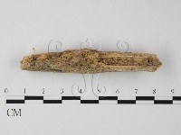 登錄號:F0001023藏品圖，第1張