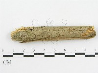 登錄號:F0001023藏品圖，第5張