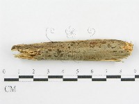 登錄號:F0001023藏品圖，第6張