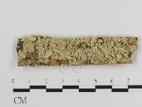 登錄號:F0001025藏品圖，第1張