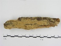 登錄號:F0001026藏品圖，第1張