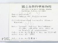 登錄號:F0001027藏品圖，第2張