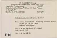 登錄號:F0001027藏品圖，第3張