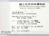 登錄號:F0001029藏品圖，第2張