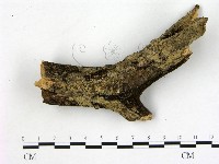 登錄號:F0001029藏品圖，第1張