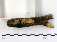 登錄號:F0001029藏品圖，第3張