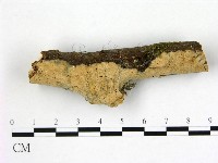 登錄號:F0001030藏品圖，第1張