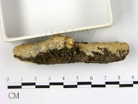 登錄號:F0001030藏品圖，第3張