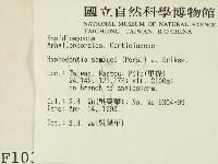 冇骨消絲齒菌藏品圖，第2張