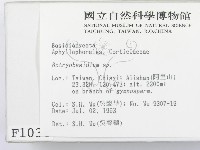 登錄號:F0001034藏品圖，第2張