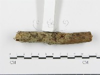 登錄號:F0001034藏品圖，第1張