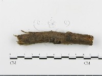 登錄號:F0001034藏品圖，第3張