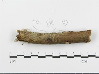 登錄號:F0001034藏品圖，第4張