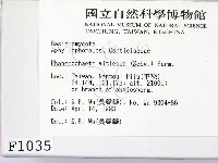 登錄號:F0001035藏品圖，第2張