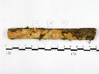 登錄號:F0001035藏品圖，第1張