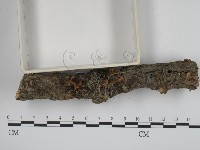 登錄號:F0001037藏品圖，第3張