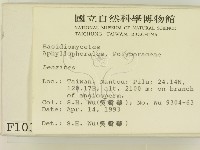 登錄號:F0001039藏品圖，第2張