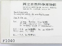 木層孔菌屬藏品圖，第2張