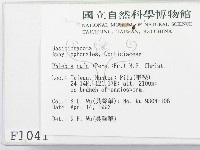 館號:F0001041藏品圖，第2張