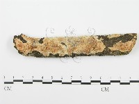 館號:F0001041藏品圖，第1張