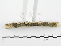 館號:F0001041藏品圖，第4張