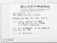 登錄號:F0001042藏品圖，第2張