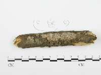 登錄號:F0001042藏品圖，第1張