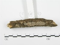 登錄號:F0001042藏品圖，第3張