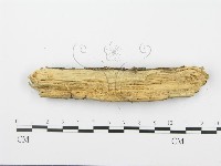 登錄號:F0001042藏品圖，第4張