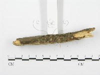 登錄號:F0001042藏品圖，第5張