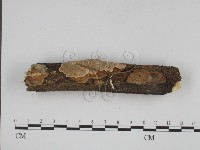 登錄號:F0001044藏品圖，第1張