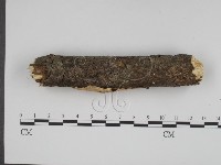 登錄號:F0001044藏品圖，第4張