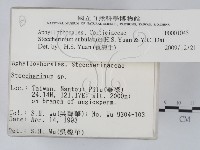 登錄號:F0001045藏品圖，第2張