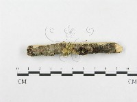 登錄號:F0001045藏品圖，第5張
