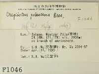 登錄號:F0001046藏品圖，第2張